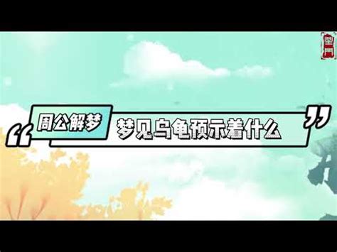 夢見烏龜號碼|烏龜解夢號碼